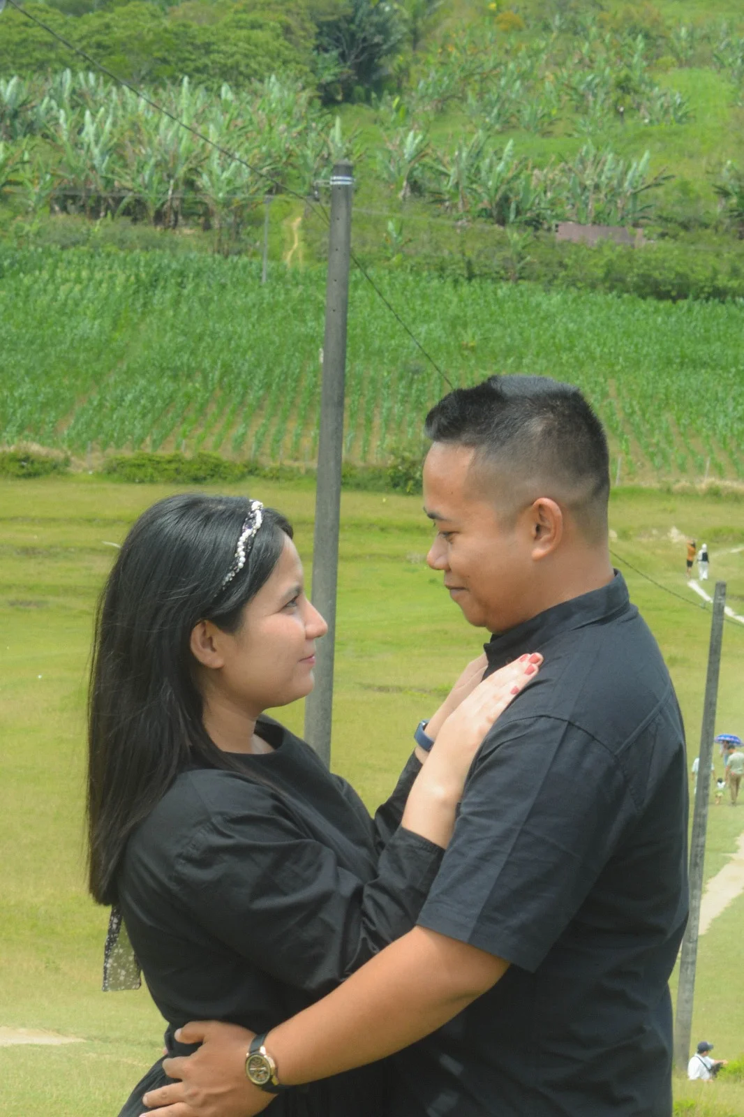 sixson novi 31 sixson novi 31